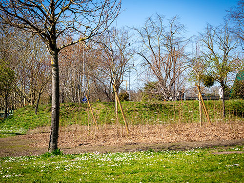 découvrez nature urbaine 75003 : un espace vert unique au cœur du 3e arrondissement de paris, dédié à la biodiversité, à l’agriculture urbaine et au bien-être en ville. profitez d’activités, d’ateliers et d’un cadre paisible entre nature et vie citadine.