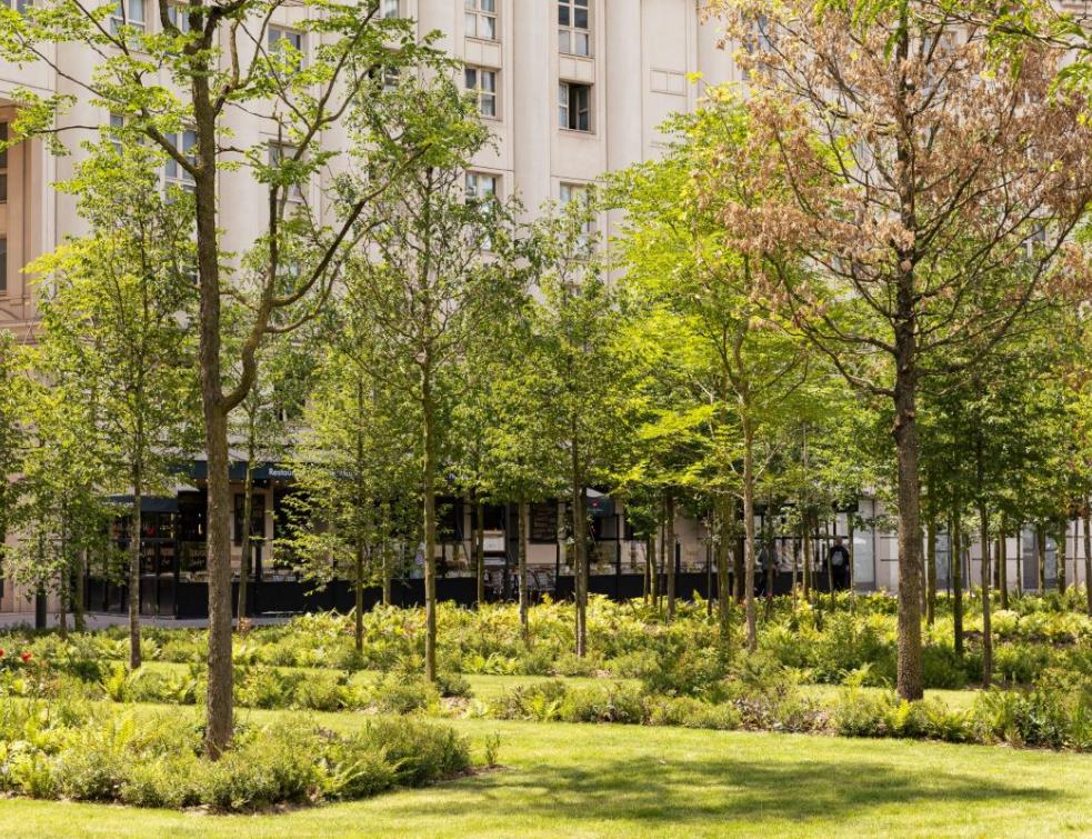 découvrez la nature urbaine au cœur du 75003 à paris. espaces verts, jardins, balades et astuces pour profiter d’un environnement naturel en plein centre-ville.