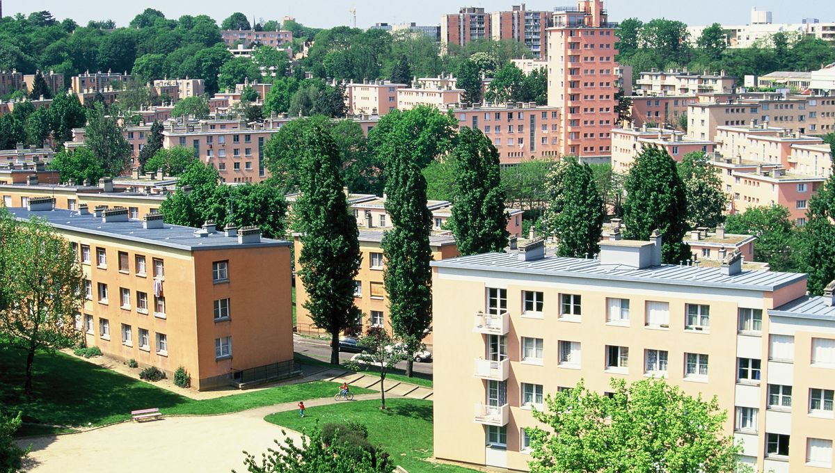 découvrez nos solutions complètes pour la réhabilitation à châtenay-malabry : rénovation énergétique, modernisation des espaces et valorisation de votre bien immobilier. obtenez un accompagnement sur-mesure pour donner une nouvelle vie à votre habitat.