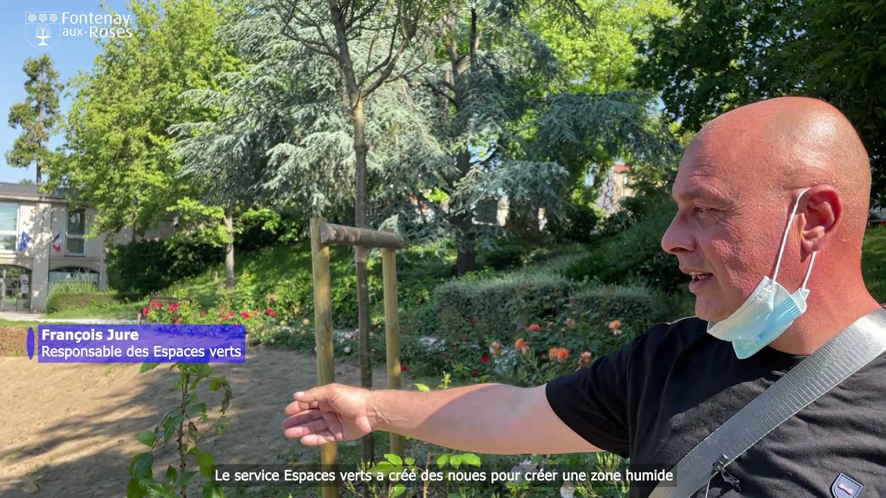 découvrez nos services de rénovation à espace fontenay : conseil, travaux sur-mesure et accompagnement pour transformer votre intérieur avec des matériaux de qualité. contactez-nous pour un devis personnalisé.