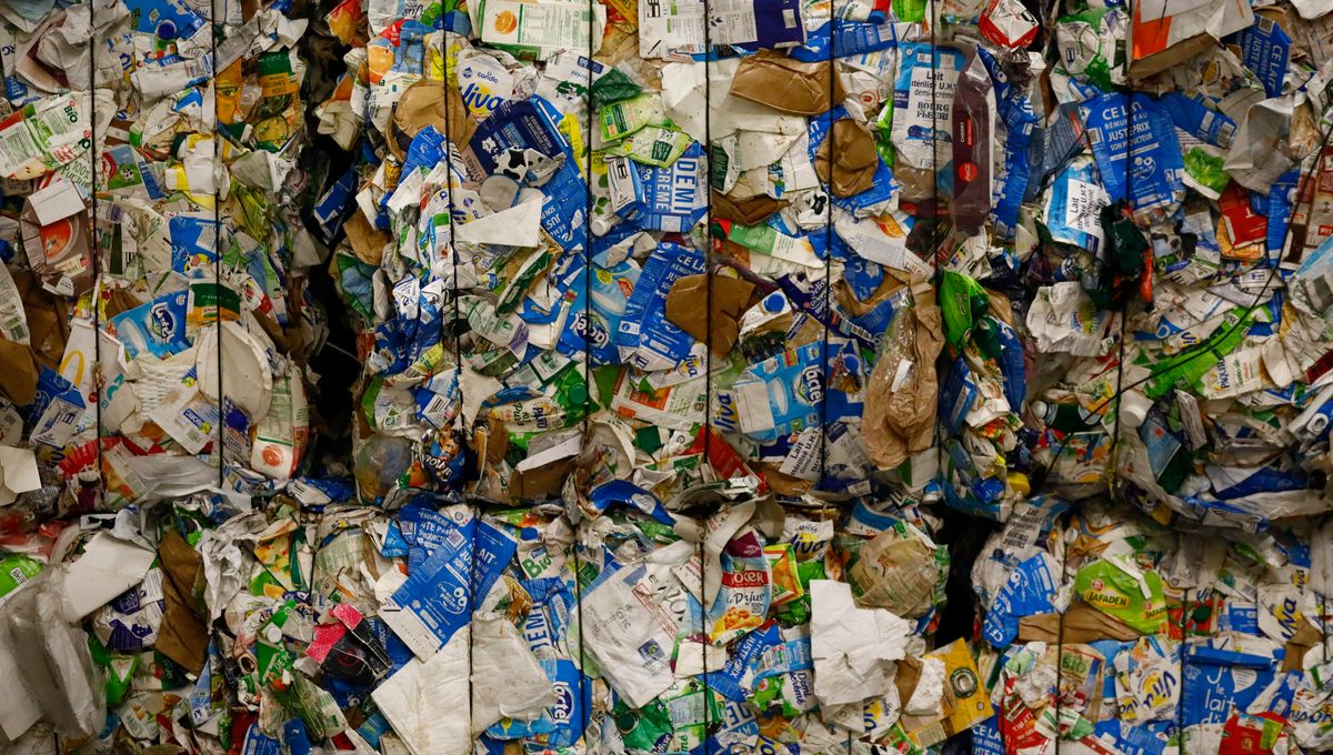 découvrez comment gérer efficacement les déchets dans le 7e arrondissement de paris : consignes de tri, collecte, horaires et solutions écologiques pour un quartier plus propre.