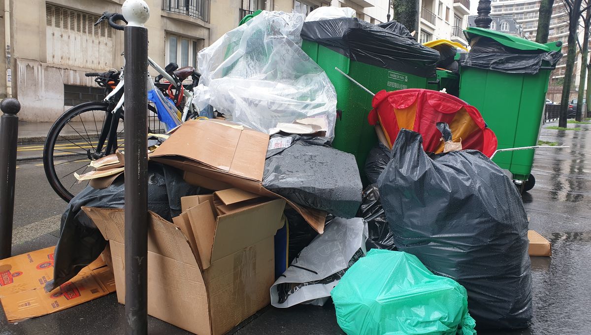 découvrez comment gérer efficacement les déchets dans le 7e arrondissement de paris : consignes de tri, horaires de collecte, solutions écologiques et services municipaux pour un quartier plus propre.